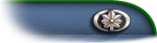Lieutenant Colonel
