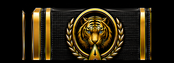 'HEART OF THE TIGER' AWARD